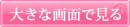 �傫�ȉ�ʂŌ���