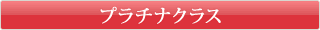 �v���`�i�N���X